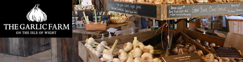 Garlic bulbs at the Garlic Farm Isle of Wight