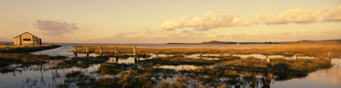 Wetlands by the coast