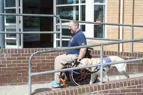 wheelchair user with guidedog