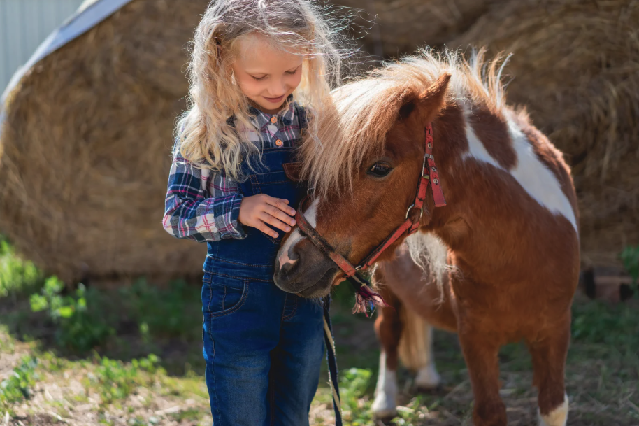 Young girl with a shetland pony at Tapnell Farm
